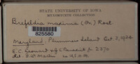 Image Associated With the Occurence